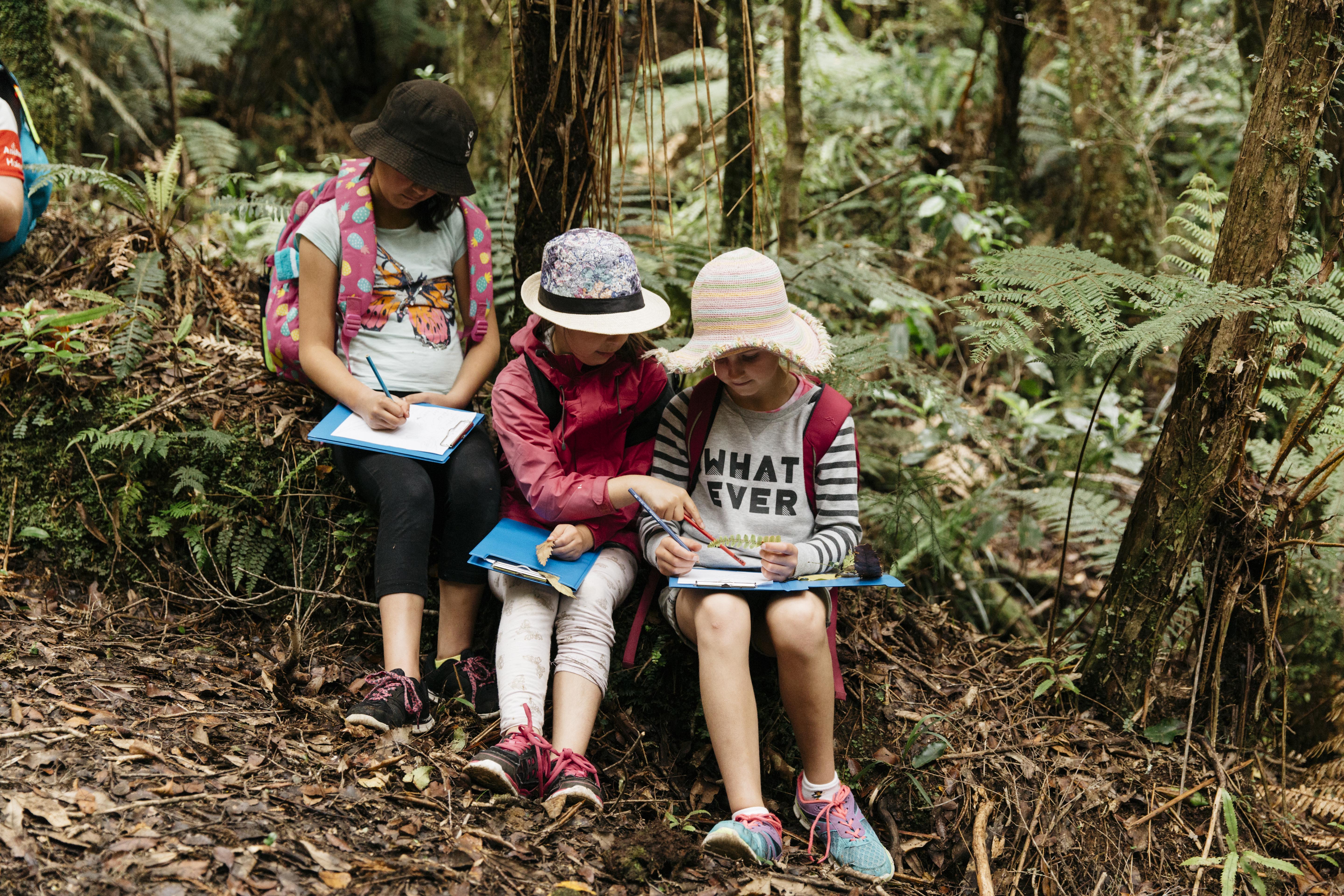 Te Kauri 066