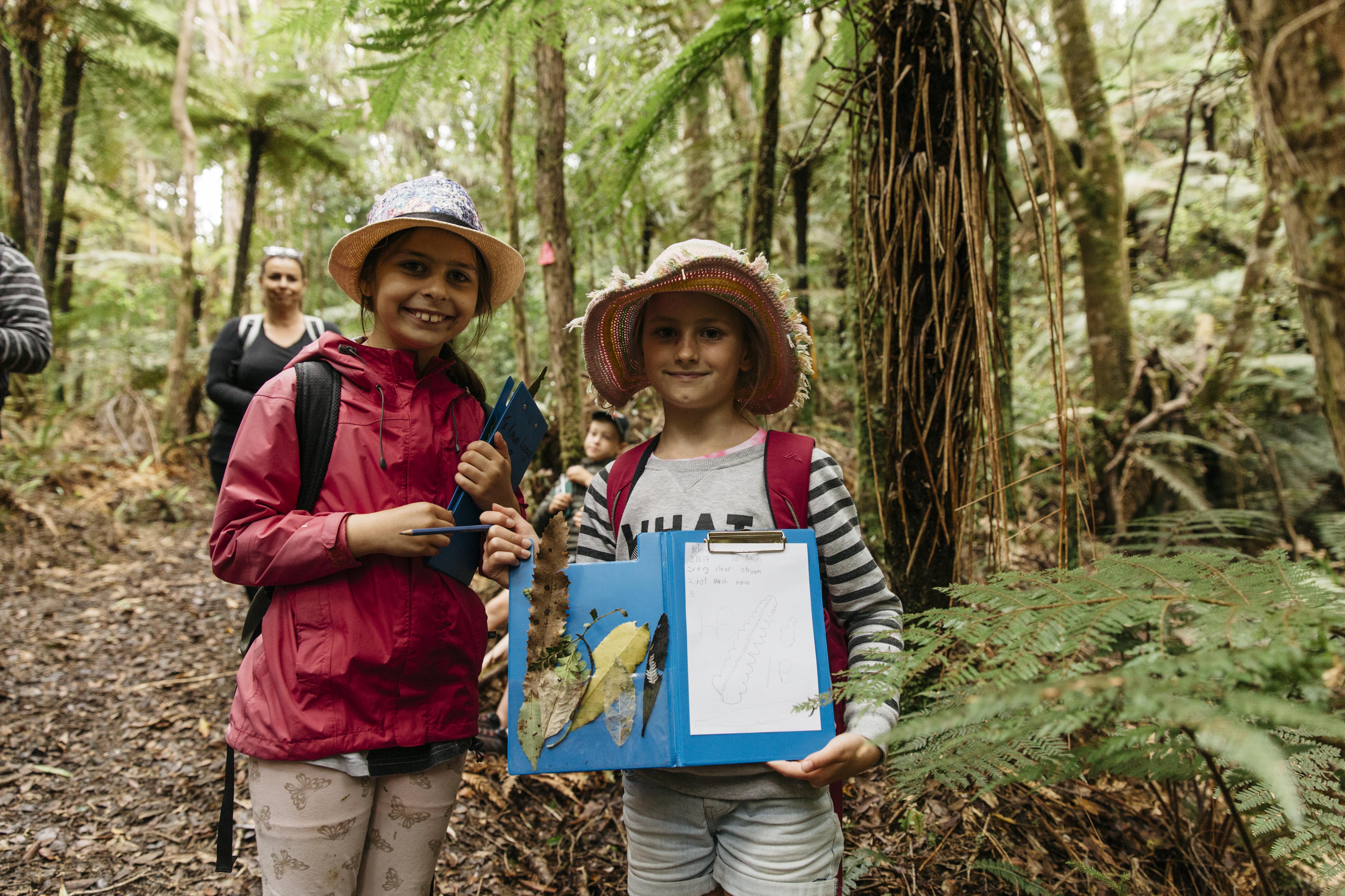 Te Kauri 067