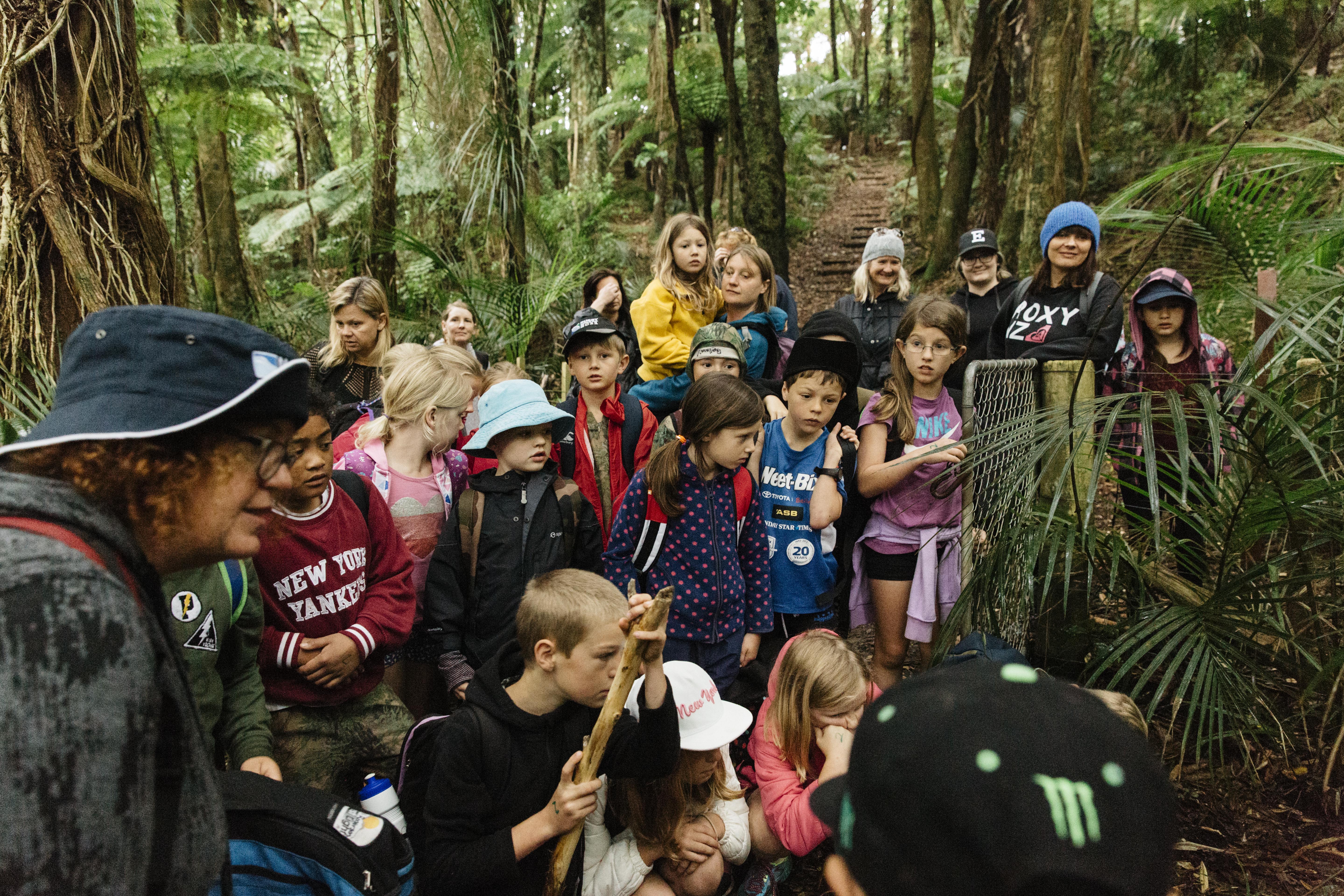 Te Kauri 172