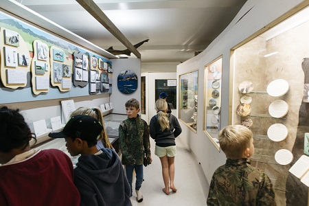 museum