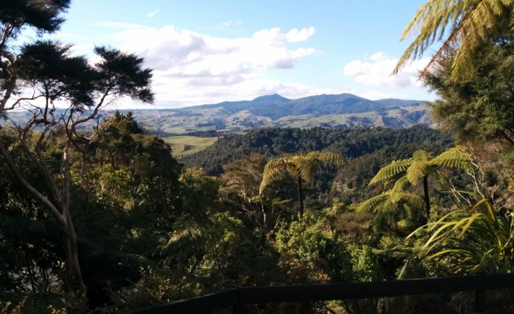vista