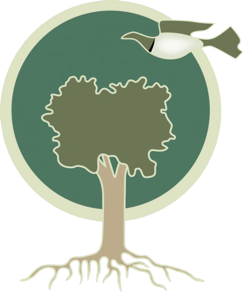 logo-tekauri